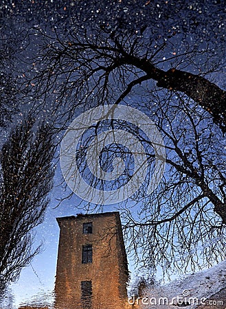 Reflection of dry wood and the old tower in a puddle on the pavement like a starry sky Stock Photo