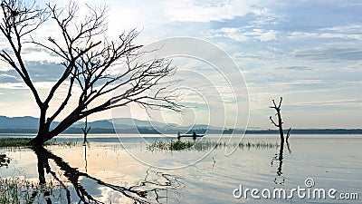 Reflection fisherman action when fishing net with dry alone tree on the boat in the lake outdoors Stock Photo