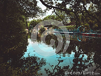 Reflection green river in City Park Stock Photo