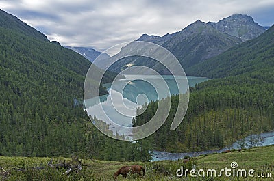 Reflection of mountains in the lake. Kucherla lake. Altai Mountains, Russia. Stock Photo