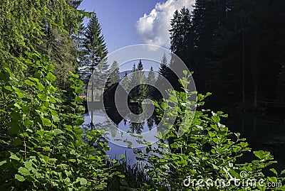 Reflection, ÄŒogrljevo Lake, Croatia Stock Photo