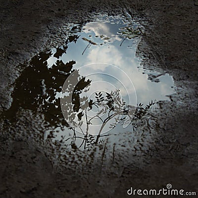 Dramatic sky in a puddle Stock Photo