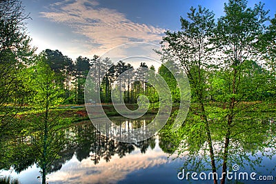 Reflection of a Pond Stock Photo