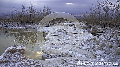 Reflection of the sky and clouds in the water of the Dead Sea, on salt formations and trees at sunrise Stock Photo