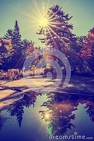 Reflection of Sun Beams Behind the Trees Stock Photo