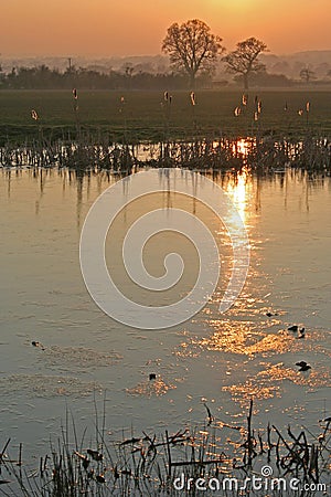 Reflection of the sun in a pond Stock Photo
