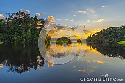 Amazon Rainforest Sunset Reflection, Ecuador Stock Photo