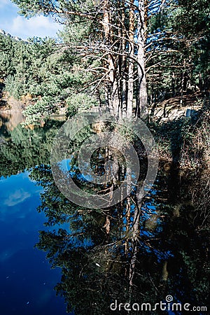 Reflection Of Trees In Calm Lake Stock Photo