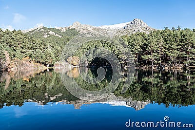 Reflection Of Trees In Calm Lake Stock Photo