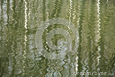 Reflection of trees Stock Photo