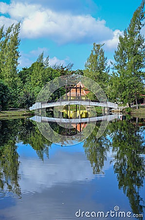 Reflection of tress, the clear lake water and can reflect tress. Landscape of nature reflectio. Stock Photo