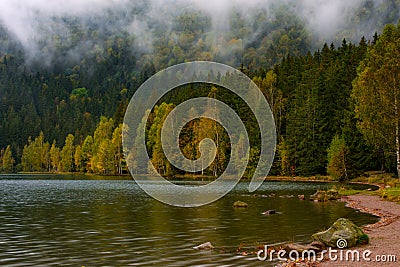 reflections with forest in autumn lake, Sf Ana lake Stock Photo