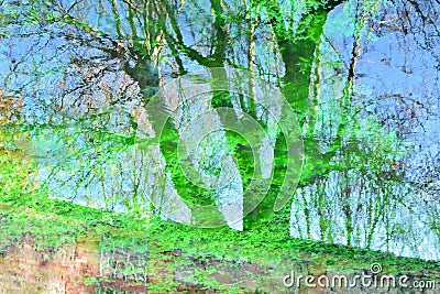 Reflections of plants and trees in the water of a pond Stock Photo