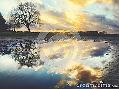 Reflections in a puddle of a Beautiful dramatic sunset over a field Stock Photo