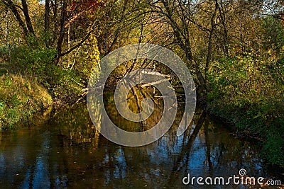 Reflections in a quiet stream Stock Photo