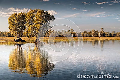 Reflections on the still waters at Kakadu, Australia Stock Photo