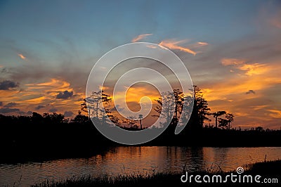 Reflections of sunset silhouette in the cypress swamp Stock Photo