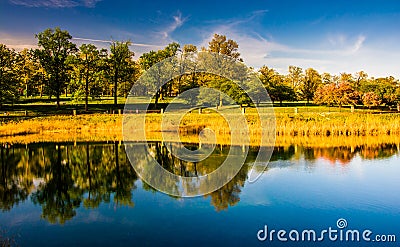 Reflections of trees in Druid Lake, at Druid Hill Park in Baltimore, Maryland. Stock Photo