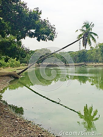 #reflections,Trees, River, shadow, reflection Stock Photo