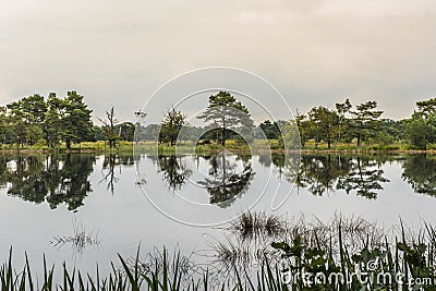 Reflecyions at Leersumse Plassen Stock Photo