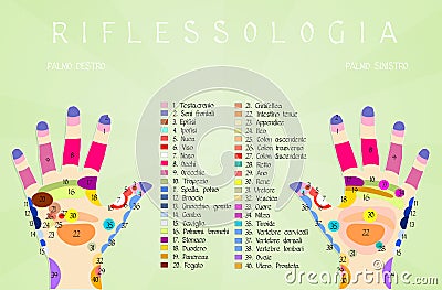 Reflexology hand chart Stock Photo