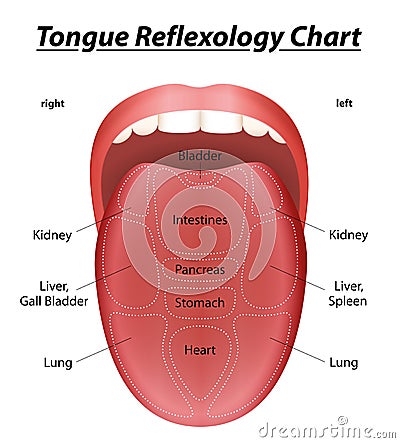 Reflexology Tongue Vector Illustration