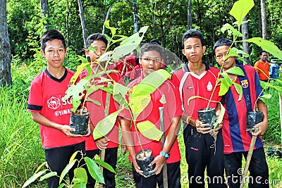 Reforestation activities Editorial Stock Photo