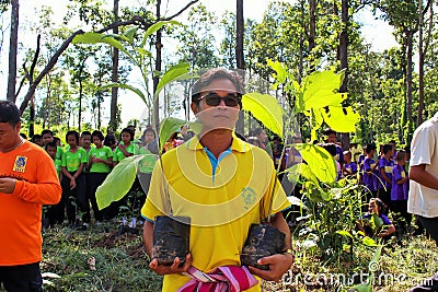 Reforestation activities Editorial Stock Photo