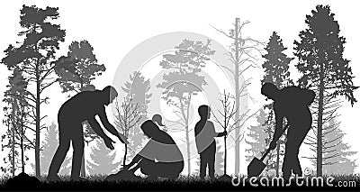 Reforestation, planting trees in forest. People plant bare trees, silhouette. Vector illustration Vector Illustration