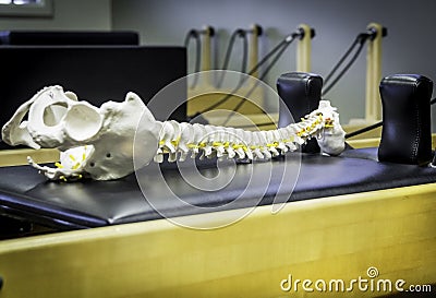 Reformer Pilates and spinal column Stock Photo