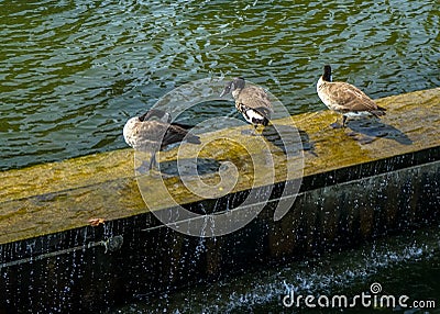 Refresh hour Stock Photo