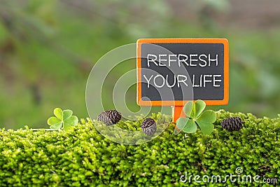 Refresh your life text on small blackboard Stock Photo