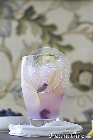 Lemon Blueberry Cooler Stock Photo