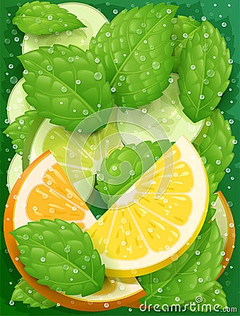 Refreshing lemon, orange, peppermint and cucumber detox water Vector Illustration