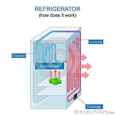 Refrigerator working principle. How does a fridge work Vector Illustration