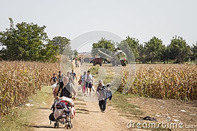 Refugees walking through the fields near the Croatia Serbia border, between the cities of Sid Tovarnik on the Balkans Route Editorial Stock Photo