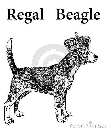 Regal Beagle Cartoon Illustration