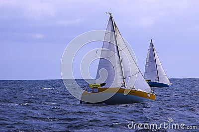 Regatta Stock Photo