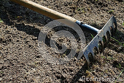 Regeneration of a damaged lawn Stock Photo