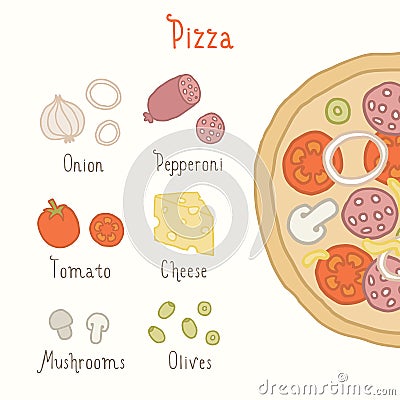 Regular pizza ingredients. Vector Illustration