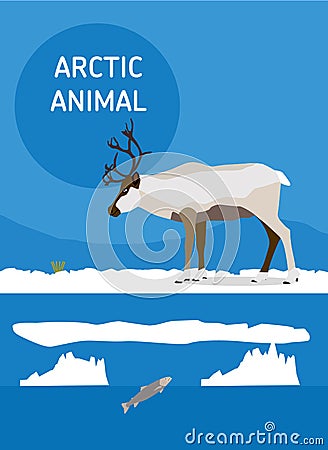 Reindeer. Arctic animals. Flat style illustration Vector Illustration