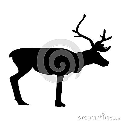 Reindeer isolated on white background Vector Illustration