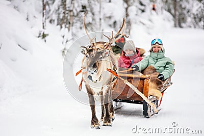 Reindeer safari in Lapland Stock Photo