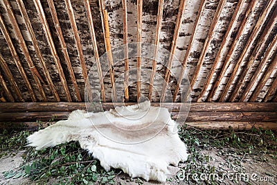 Reindeer skin in birch bark hut Stock Photo