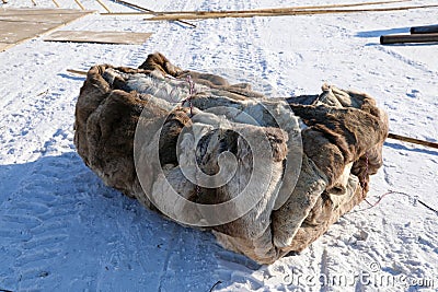 Reindeer skins for covering the plague of reindeer herders Stock Photo