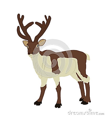 Reindeer vector illustration isolated on white background. Rein deer powerful animal. Vector Illustration