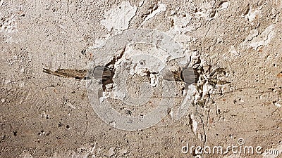 Reinforced concrete wall is useful as a background. Reinforced concrete with damaged metal fittings Stock Photo