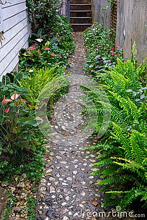 Relax and Fresh Beautiul Walkpath in the Garden After Rain Stock Photo