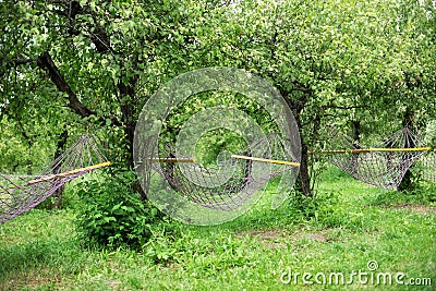 relax in hammocks in garden. Summer garden with hanging hammocks for relaxing. travel hammock for relaxing in orchard. concept of Stock Photo