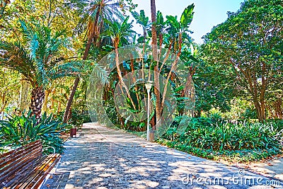 Relax in Malaga park, Spain Stock Photo